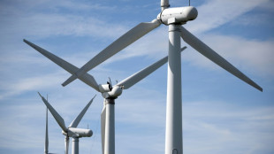 Le gouvernement veut revoir le soutien public aux énergies renouvelables