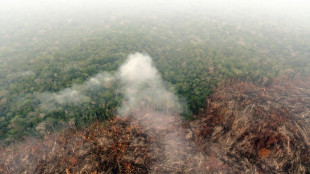 D&iacute;a de la Amazon&iacute;a: Los incendios se disparan en el arranque de septiembre