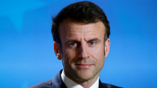 El presidente de Francia cenar&aacute; con el exrey Juan Carlos I y Vargas Llosa