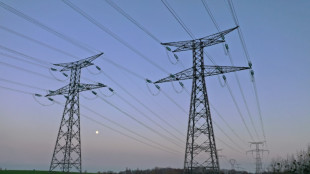 La France a &eacute;chapp&eacute; au pire malgr&eacute; une production &eacute;lectrique au plus bas depuis 30 ans