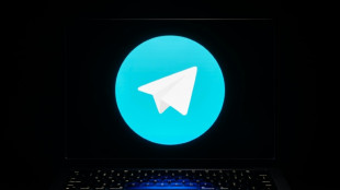 Miles de fotos de mujeres difundidas sin su consentimiento en Telegram, seg&uacute;n una ONG