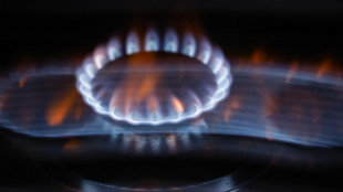 Il prezzo del gas gira in calo a 52,59 euro