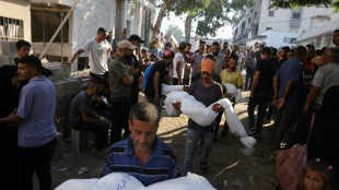 Plus de 100 ONG mettent en garde contre une "famine de masse" se propageant &agrave; Gaza