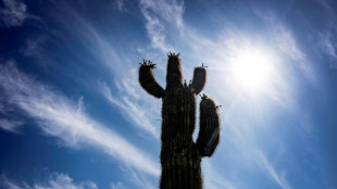 Une vague de chaleur pr&eacute;coce bat des records dans l'ouest des Etats-Unis