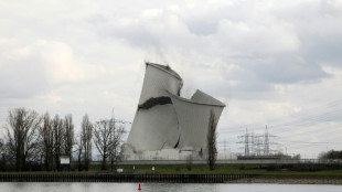 Urteil: Genehmigung von Teilabriss an Atomkraftwerk Biblis war rechtens