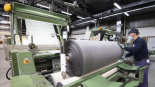 Istat,lavoratori attivi diminuiranno di 3,2 milioni nel 2050