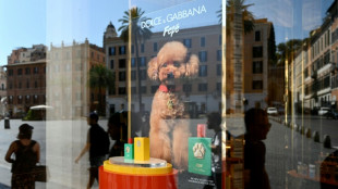 Not to be sniffed at: Dolce & Gabbana launches &euro;99 dog perfume