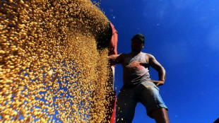 Brasil suspende el pacto de no comerciar soja de tierras deforestadas de la Amazon&iacute;a