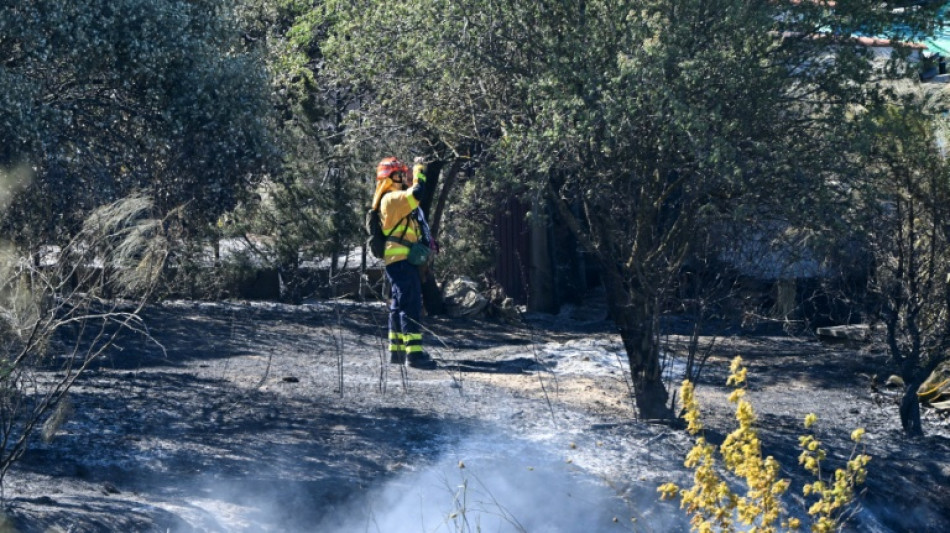 Sud de l'Espagne: l'incendie de Tarifa "stabilisé", retour des vacanciers évacués