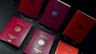 Einb&uuml;rgerungen steigen 2025 auf neuen H&ouml;chststand