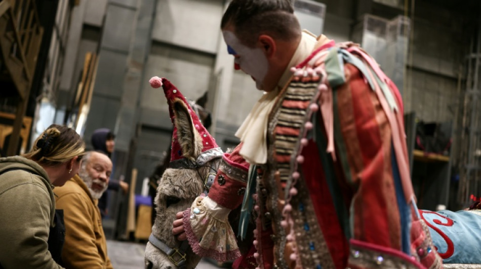 Carinho, pedicure e pastilhas de menta: os mimos de uma diva de 4 patas no Met