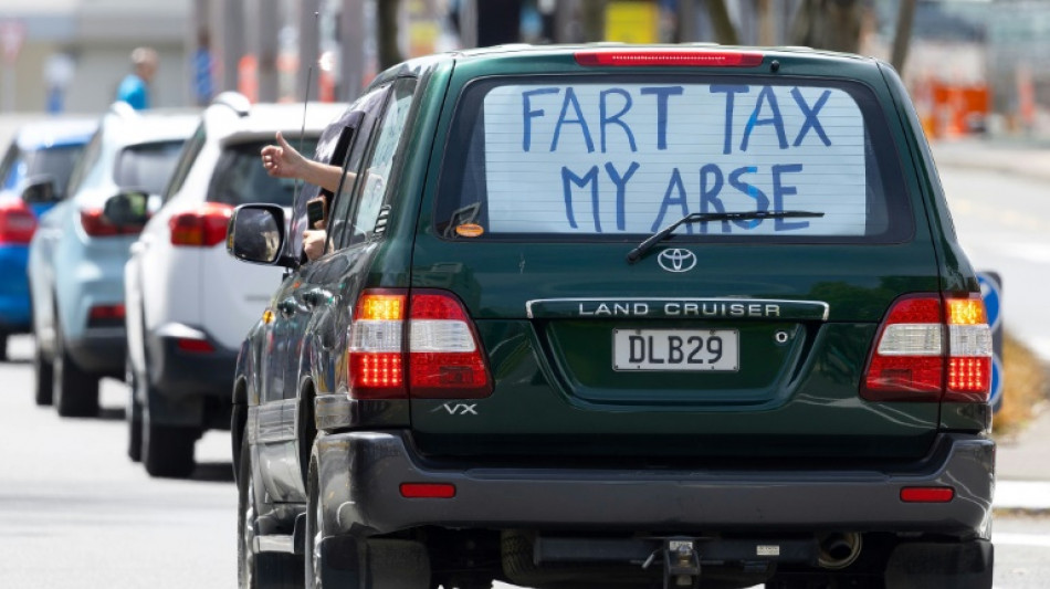 Nouvelle-Z&eacute;lande: des fermiers manifestent contre un projet de taxation des pets de vache