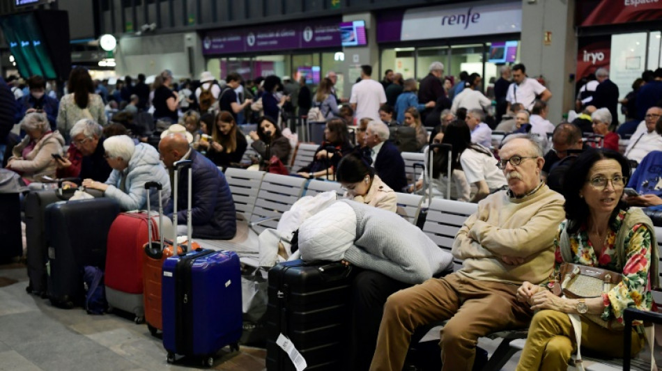 El gestor de la red el&eacute;ctrica francesa dice que nada apunta a las renovables por el apag&oacute;n en Espa&ntilde;a