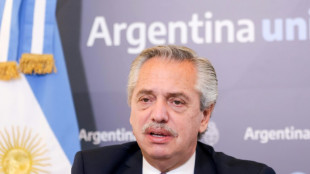 Presidente argentino saluda "hist&oacute;rico" respaldo legislativo al acuerdo con el FMI