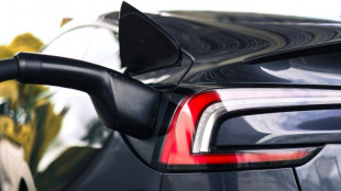 T&Uuml;V: Gebrauchte E-Autos mittlerweile "attraktive Alternative"