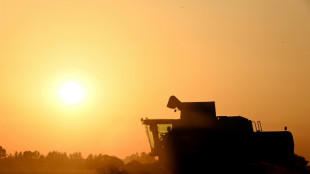 Agriculture: le Parlement adopte la loi Duplomb-Menonville et la r&eacute;introduction sous conditions d'un pesticide