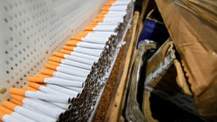 Les usines clandestines de cigarettes, machine &agrave; cash des organisations criminelles 