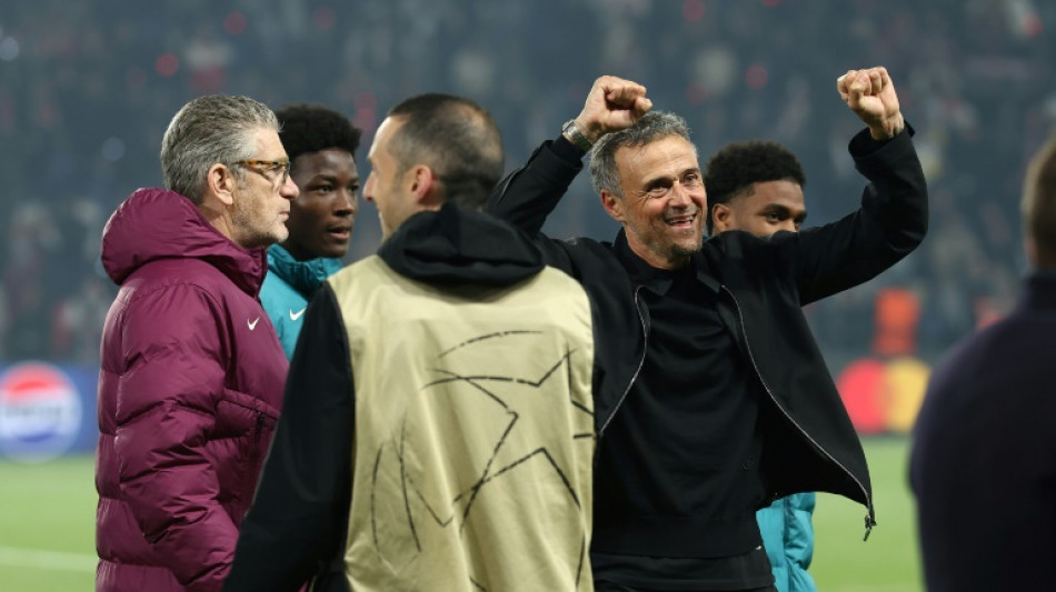 PSG are deserving Champions League finalists, says Luis Enrique
