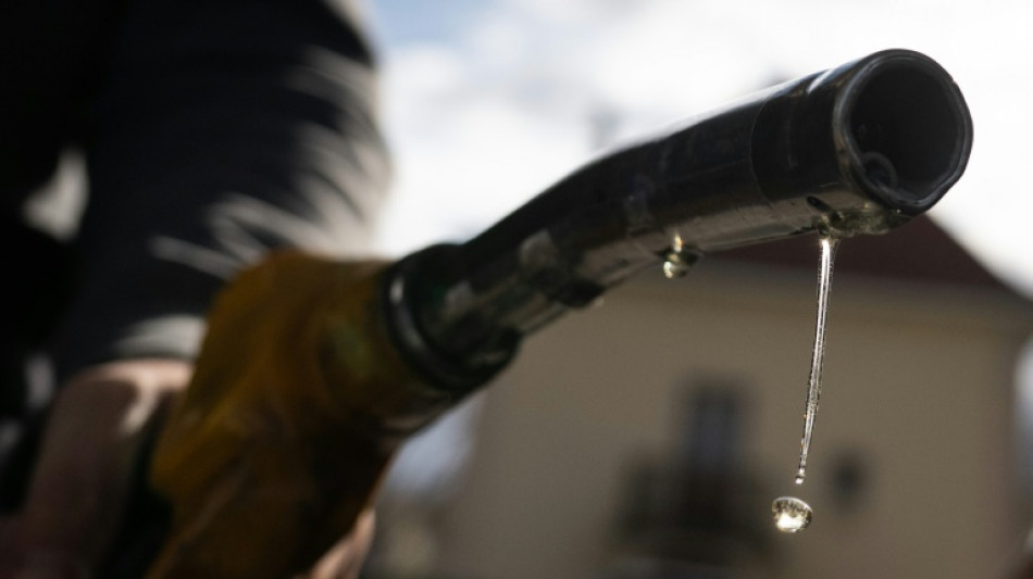 Leading economists call for windfall profit taxes on energy firms