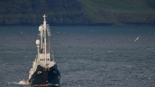 El &uacute;ltimo ballenero activo de Islandia captura su primer rorcual en casi cuatro a&ntilde;os