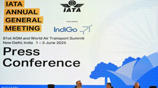 Les compagnies a&eacute;riennes moins optimistes pour 2025, face &agrave; des "vents contraires"