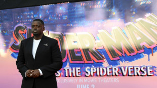 Animated Spider-Man back with 'arthouse' sequel to Oscar winner