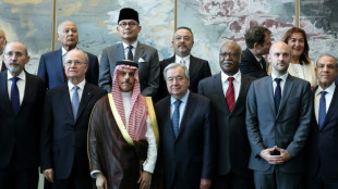 Fuerte apoyo en la ONU a la creaci&oacute;n de dos estados, israel&iacute; y palestino
