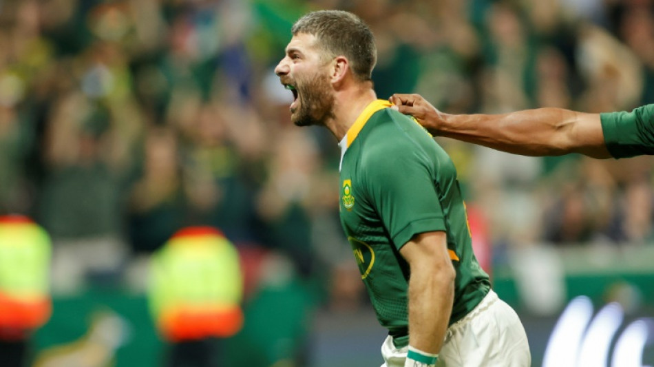 Veteran Le Roux among five Springbok changes for France Test