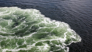 EU verhängt Sanktionen gegen russische "Schattenflotte"