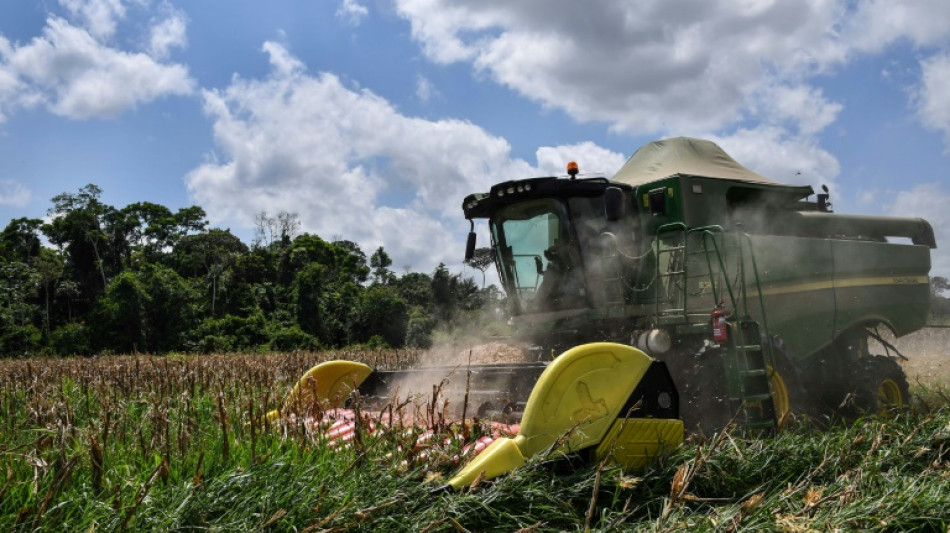 Brasil exportar&aacute; m&aacute;s ma&iacute;z por la guerra de Ucrania, pero teme por los fertilizantes