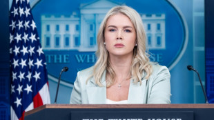 Casa Branca aceitaria an&aacute;lise grafot&eacute;cnica de suposta carta de Trump a Epstein