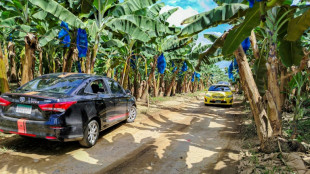 Gobierno de Panam&aacute; espera cerrar acuerdo para retorno de bananera de EEUU