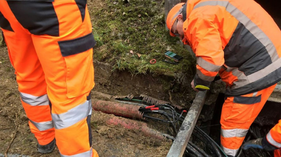 Gare de l'Est: retour progressif &agrave; la normale pour la circulation des trains