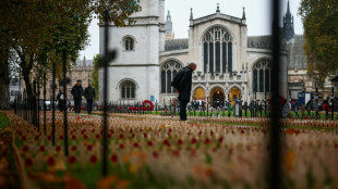 Catalina retoma sus actividades tras la quimioterapia y asistir&aacute; a unas ceremonias militares