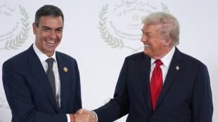 Trump dice que Espa&ntilde;a "deber&iacute;a ser castigada" por su gasto en defensa