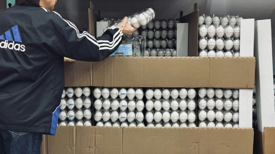 Schweizer Regierung erleichtert Import von Hühnereiern - Bedarf sonst nicht gedeckt