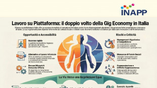 Inapp, 'urgenti regole per nuove forme di lavoro su piattaforma'