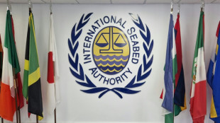 Medizinischer Notfall: Entscheidung zu Rohstoffabbau am Meeresboden vertagt