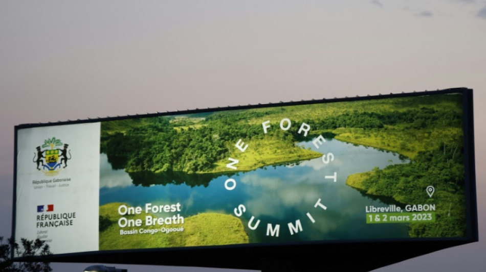 Le sommet One Forest pour prot&eacute;ger les for&ecirc;ts tropicales s'ouvre au Gabon