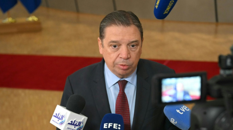 España promete limitar "al máximo" el impacto de un foco de peste porcina africana