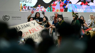 Abschlussplenum bei Weltklimakonferenz in Belém angesetzt - EU offenbar isoliert