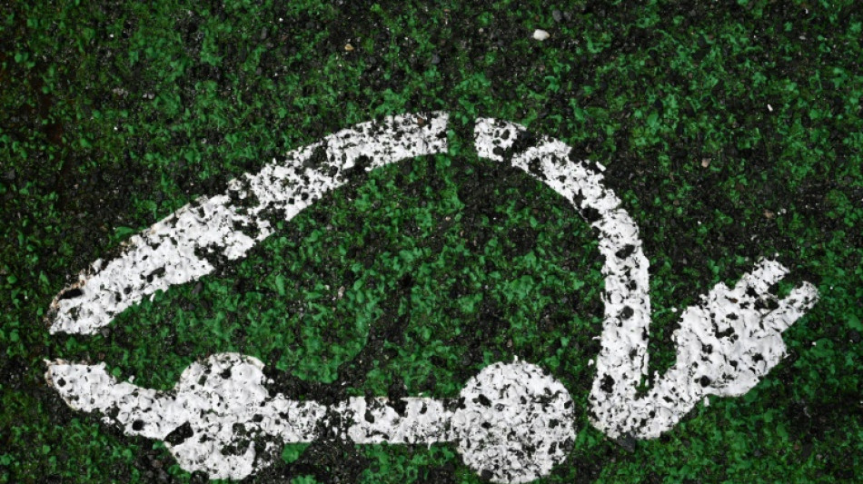 Voitures &eacute;lectriques: 2025, une ann&eacute;e cruciale pour l'Europe 