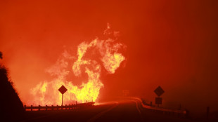 Brände zerstören tausende Hektar Land im Westen der USA