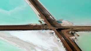 Mucha regulaci&oacute;n y poca inversi&oacute;n, la paradoja de una Europa necesitada de litio... y de Am&eacute;rica Latina