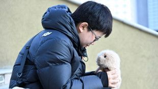 Jovens chineses buscam bem-estar emocional em animais de estima&ccedil;&atilde;o de IA