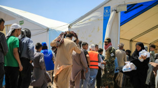 Return of millions of Afghans fuels terror potential