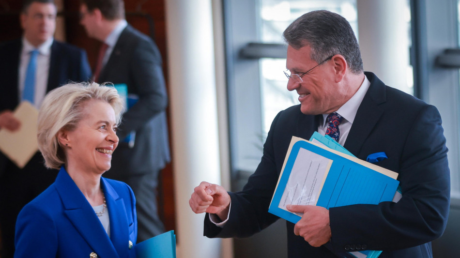 Ue, nessuna offerta formale su maggiori acquisti beni Usa