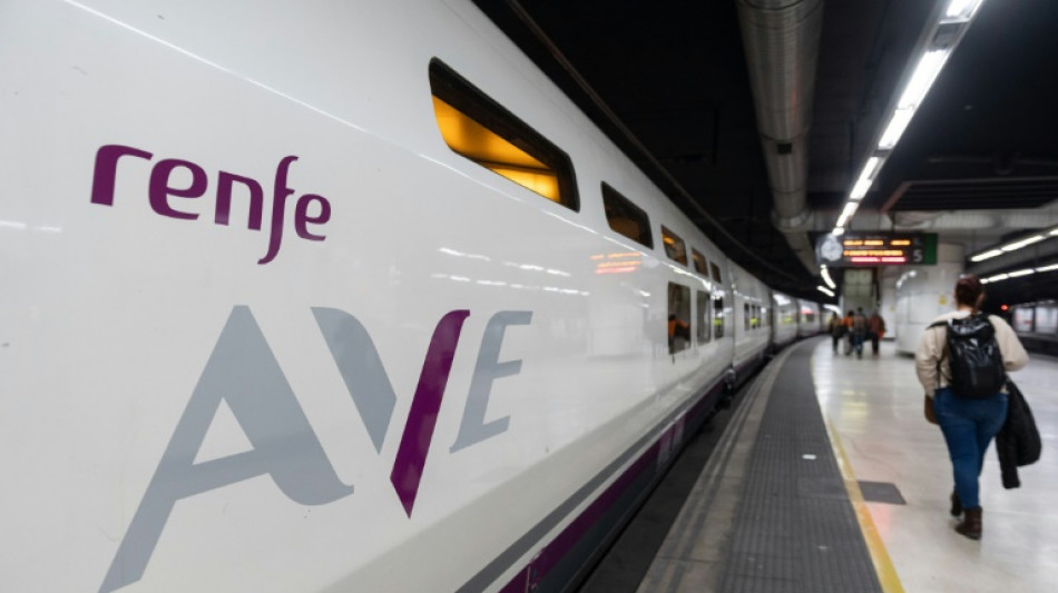 Una empresa espa&ntilde;ola lanzar&aacute; trenes de alta velocidad en Francia el 13 de julio