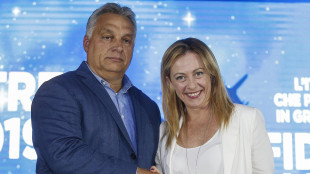 Orban, Meloni pu&ograve; guidare i conservatori in Europa