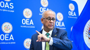 Secretario general de la OEA pide coordinaci&oacute;n y financiaci&oacute;n para apoyar a Hait&iacute;